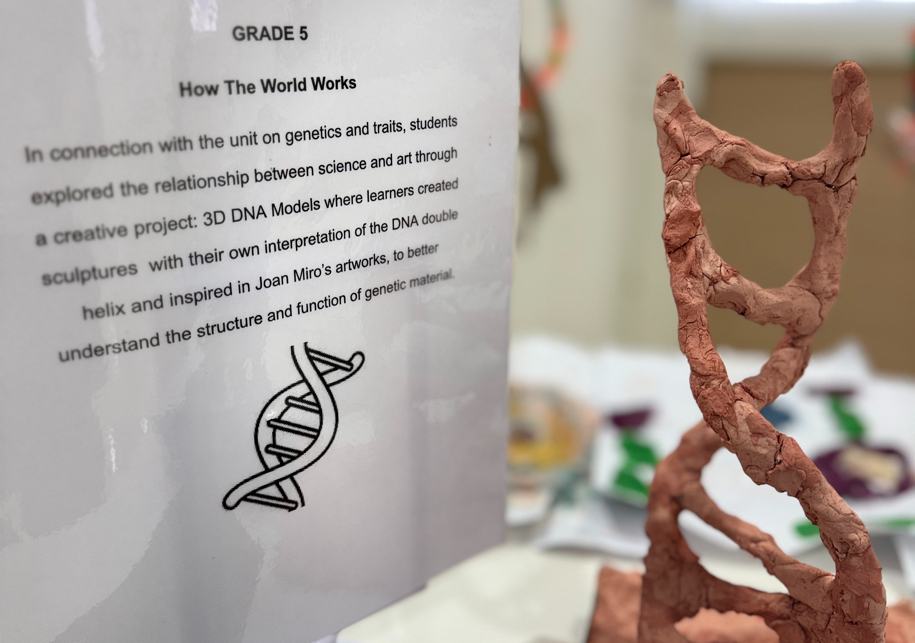 Celebration of Learning: Grade 5 | MLS