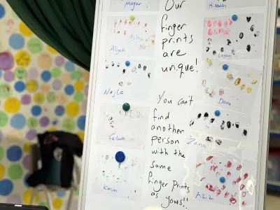 Celebration of Learning: Grade 5 | MLS