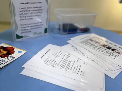 Celebration of Learning: Grade 5 | MLS