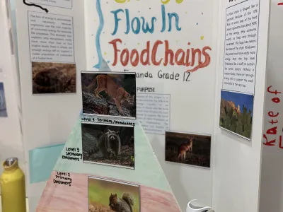 MLS STEAM Fair 2025 | MLS