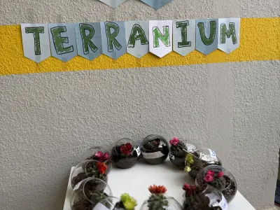 MLS STEAM Fair 2025 | MLS