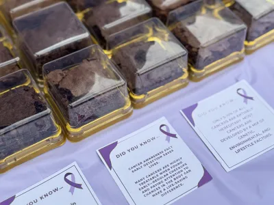 Lavender Awareness Campaign | MLS