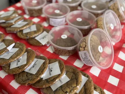 MLS Family Picnic and BBQ Day | MLS