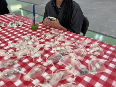 MLS Family Picnic and BBQ Day | MLS