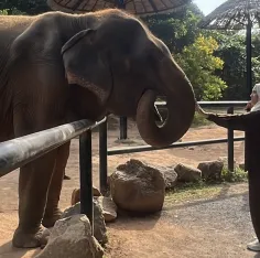 Week Without Walls: Learning Beyond the Classroom | MLS