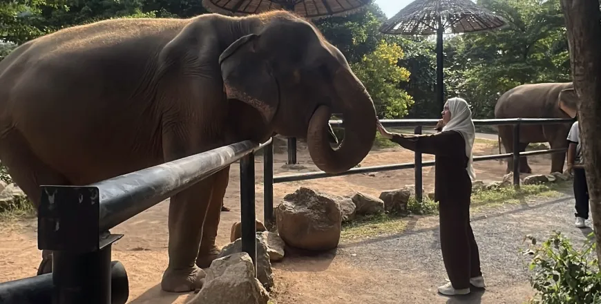 Week Without Walls: Learning Beyond the Classroom | MLS