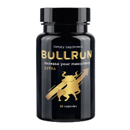 BullRun affiliate logo