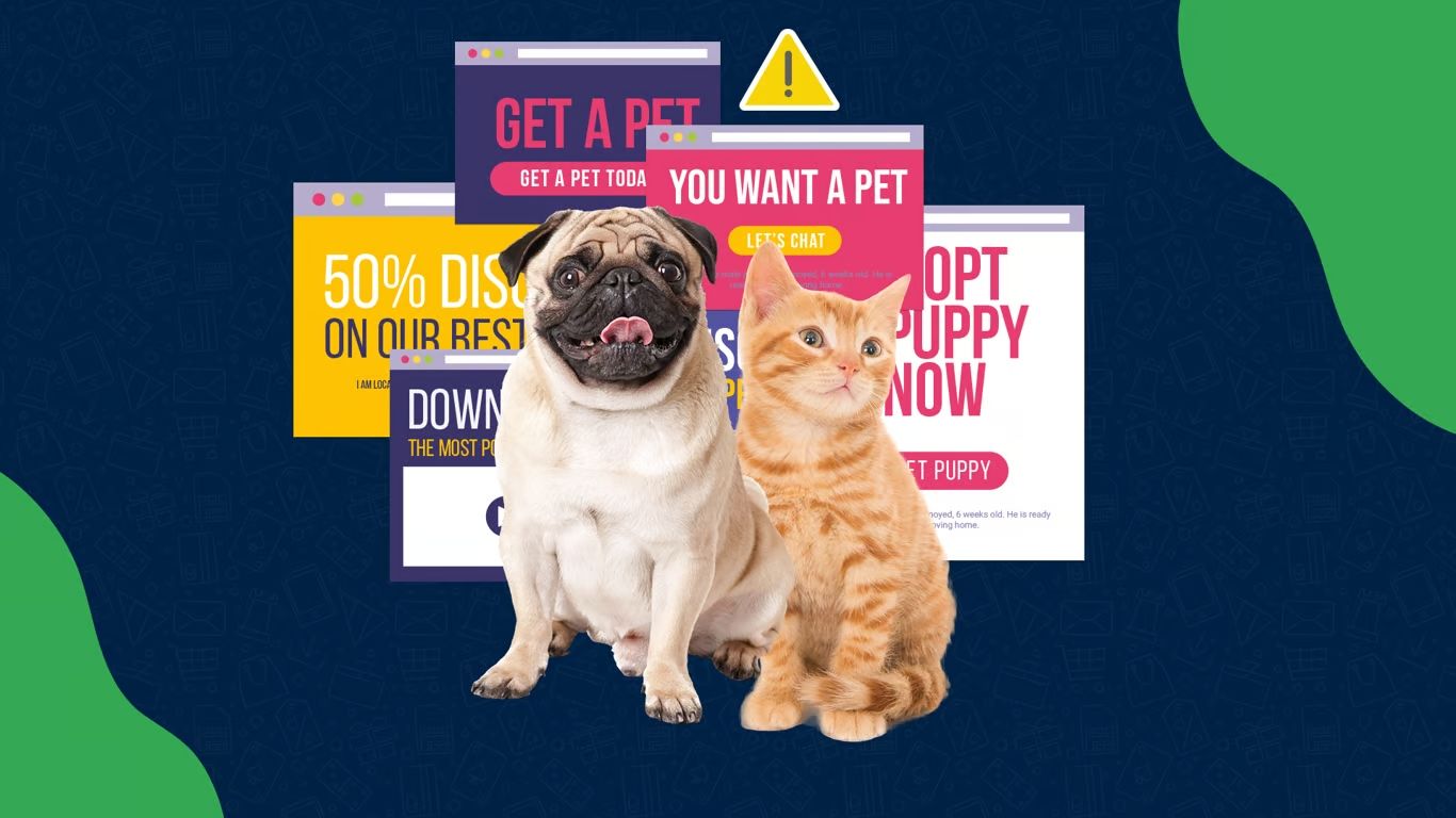 Hoe voorkom je oplichting bij het kopen of adopteren van een huisdier?