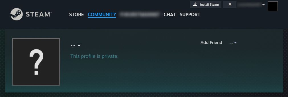 Screenshot eines privaten Steam-Profils.