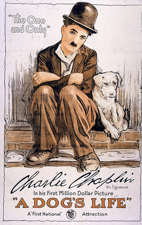 Cultura pop americana, Cartel de A Dog's Life, 1918, con un boceto de Charlie Chaplin y un perro blanco, Estudia mejor.