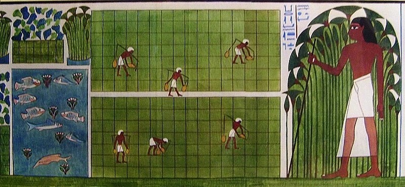 Landwirtschaft Altes Ägypten Hochkultur StudySmarter