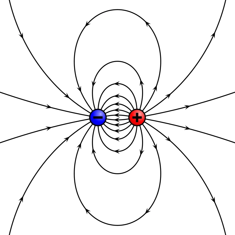 EKG, Elektrisches Feld in Feldliniendarstellung, StudySmarter