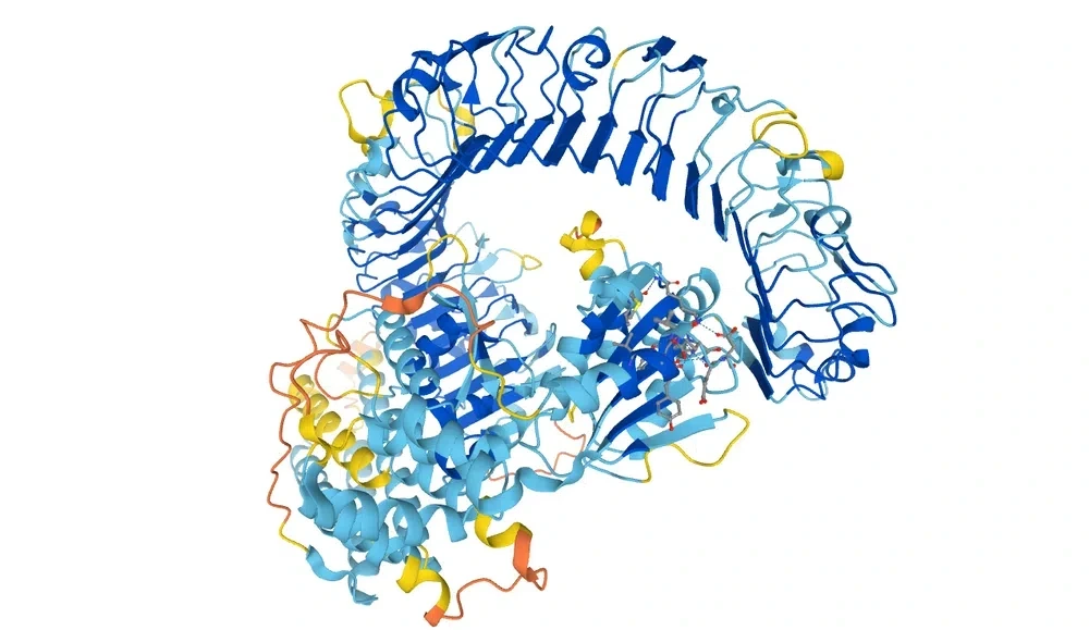 Proteinstruktur Tertiärstruktur RPP7 StudySmarter
