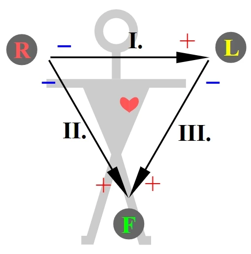 EKG Schema Extremitätenableitung nach Einthoven StudySmarter