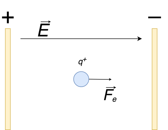 Intensité du champ électrique, Champ électrique uniforme, StudySmarter