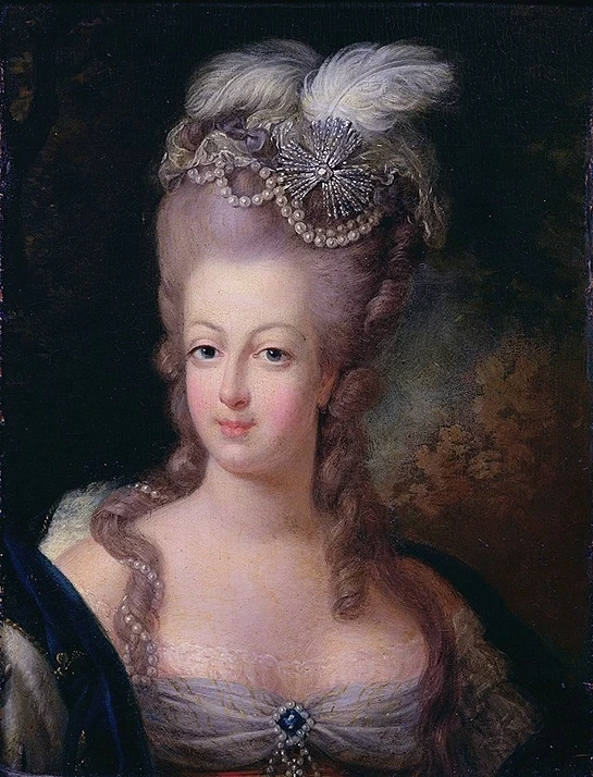 King Louis XVI Execution Portrait of Marie Antoinette 1775 StudySmarter