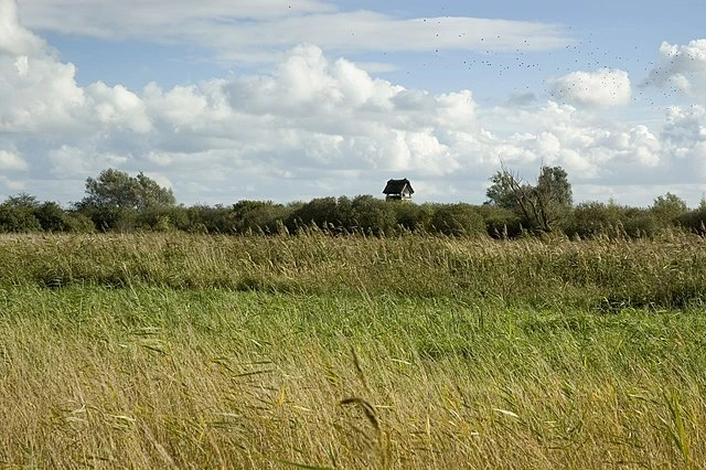 Waterland, The Fens, StudySmarter
