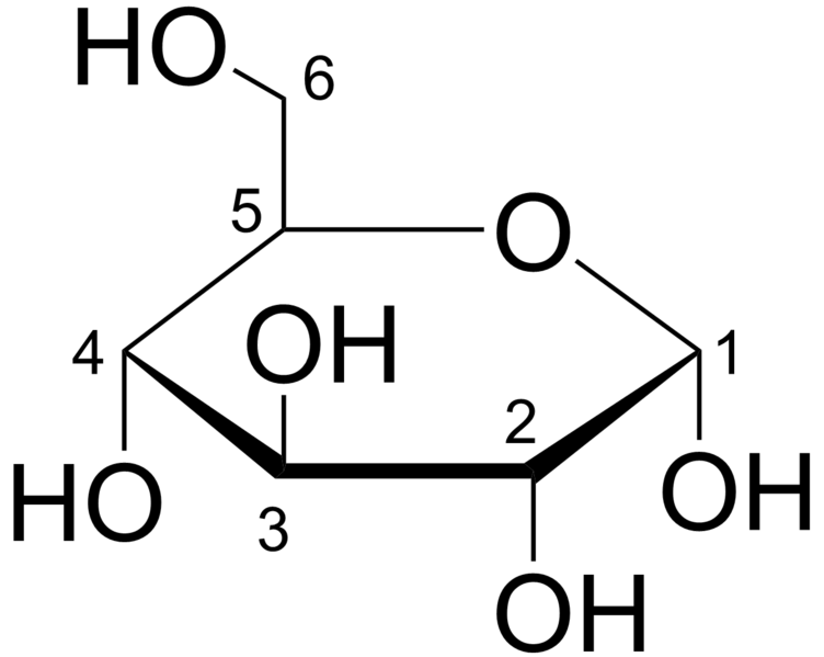 Fermentation + glucose molecule + StudySmarter