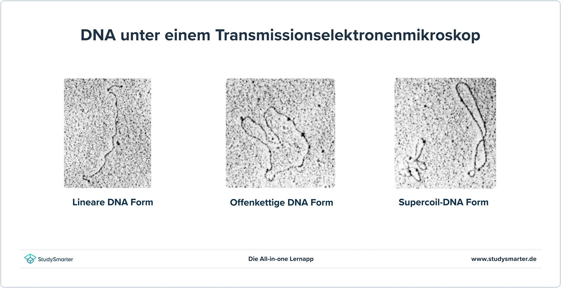 De Broglie Wellenlänge Elektronenmikroskop TEM Wellenlänge StudySmarter