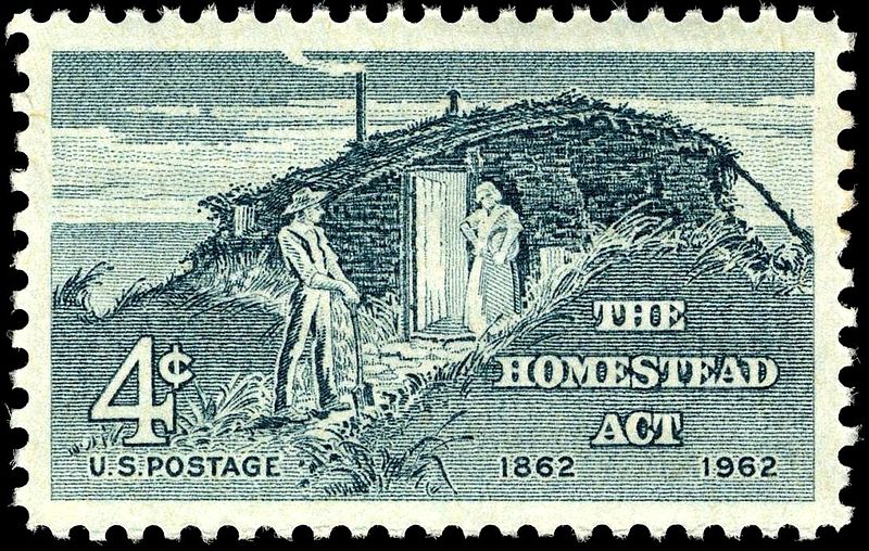 homesteaders, history & definition, StudySmarter