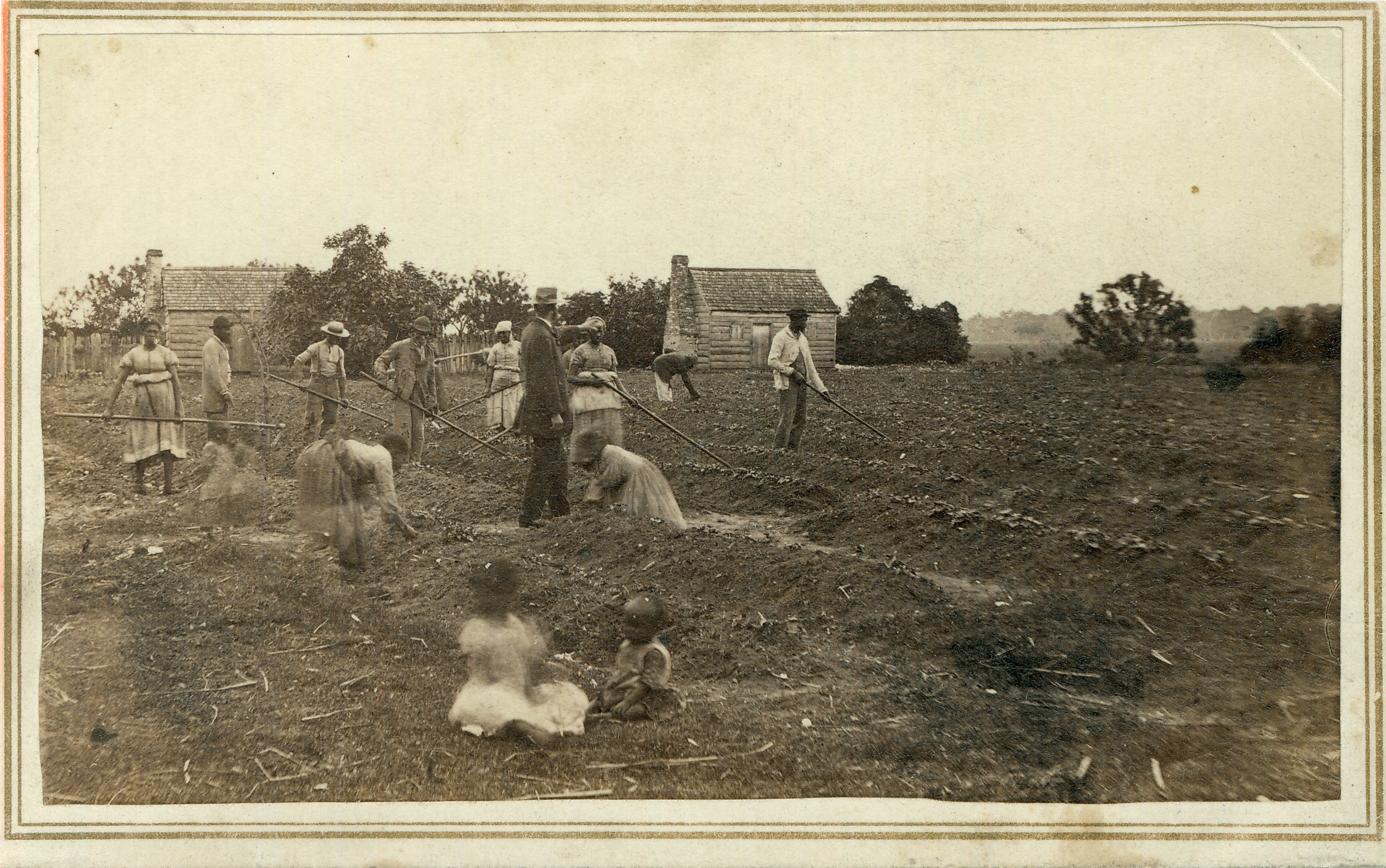 Histoire des États-Unis Agriculteurs américains StudySmarter