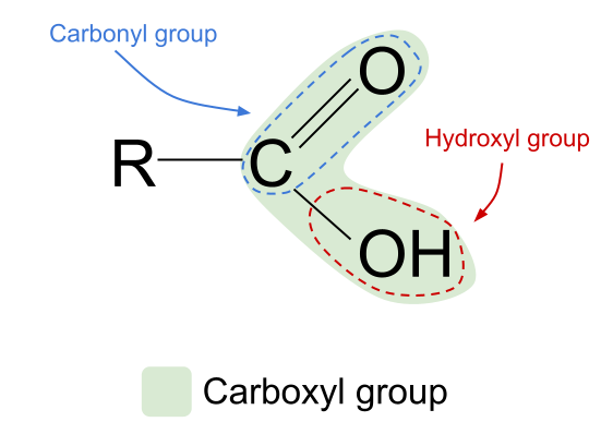 Carboxylic Acids general structure 91Ó°ÊÓ