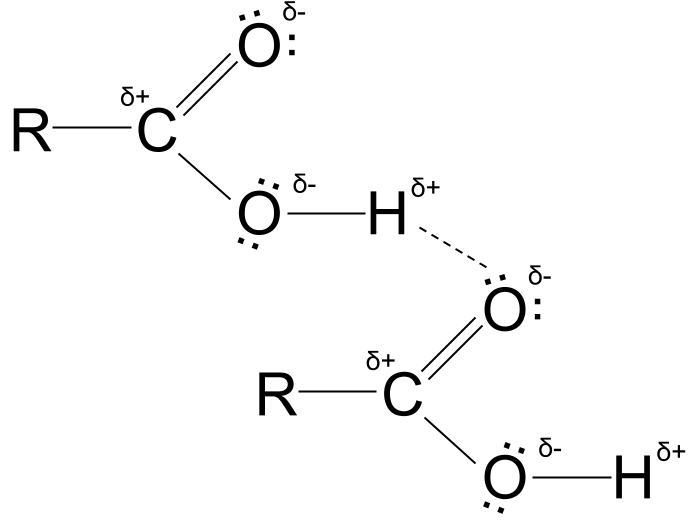 Carboxylic Acids hydrogen bonding StudySmarter