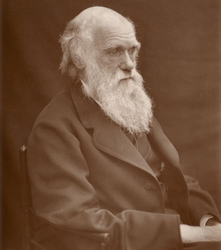 Evolution and Behavior, Charles Darwin portrait, 91Ó°ÊÓ