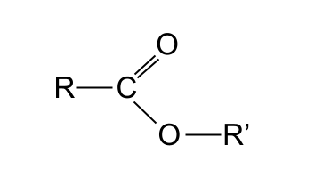 Reactions of Carboxylic Acids General structure of an ester StudySmarter