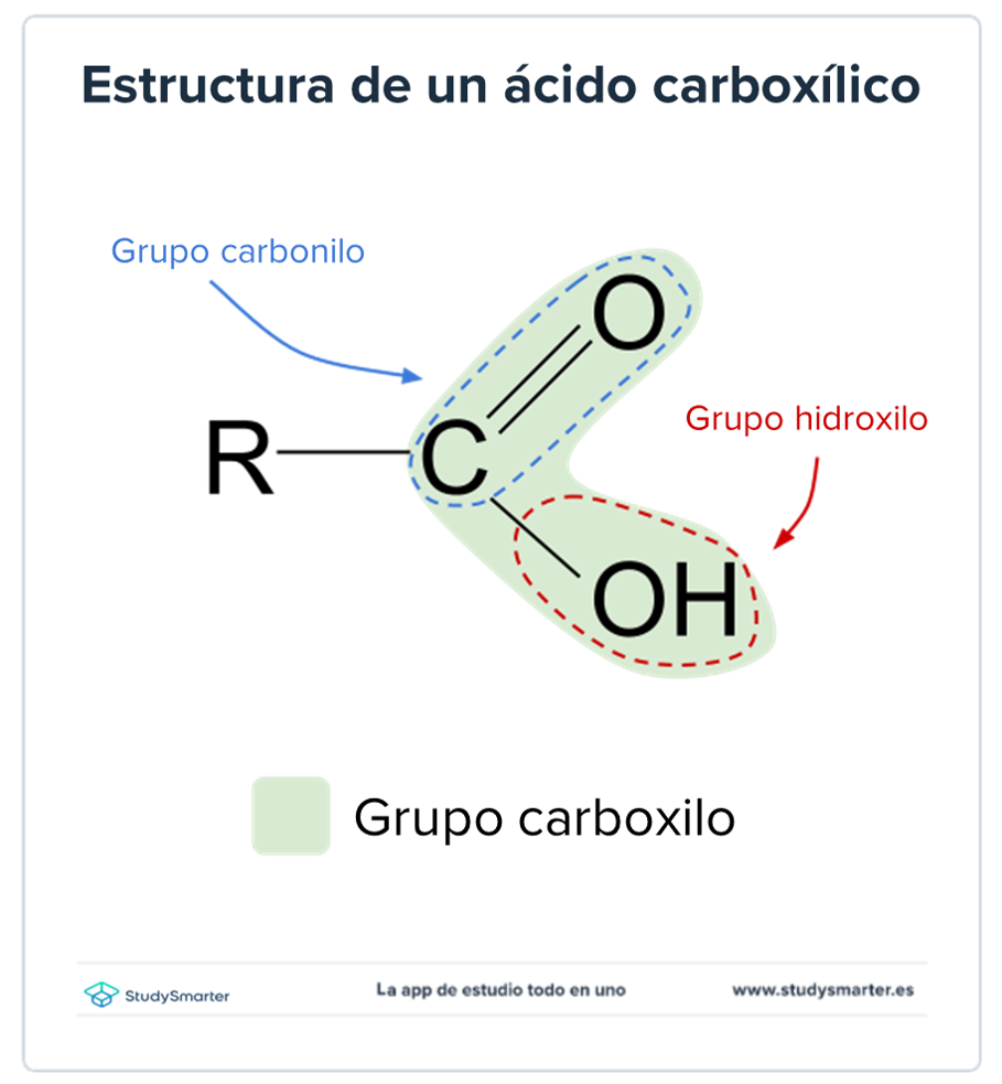 Ácidos carboxílicos estructura de un ácido carboxílico StudySmarter