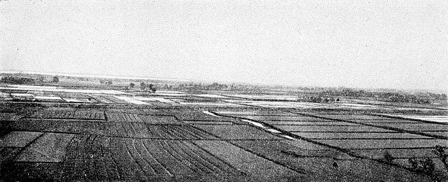 Paisaje de Arrozales. Revolución Comercial de la Dinastía Song. StudySmarter.