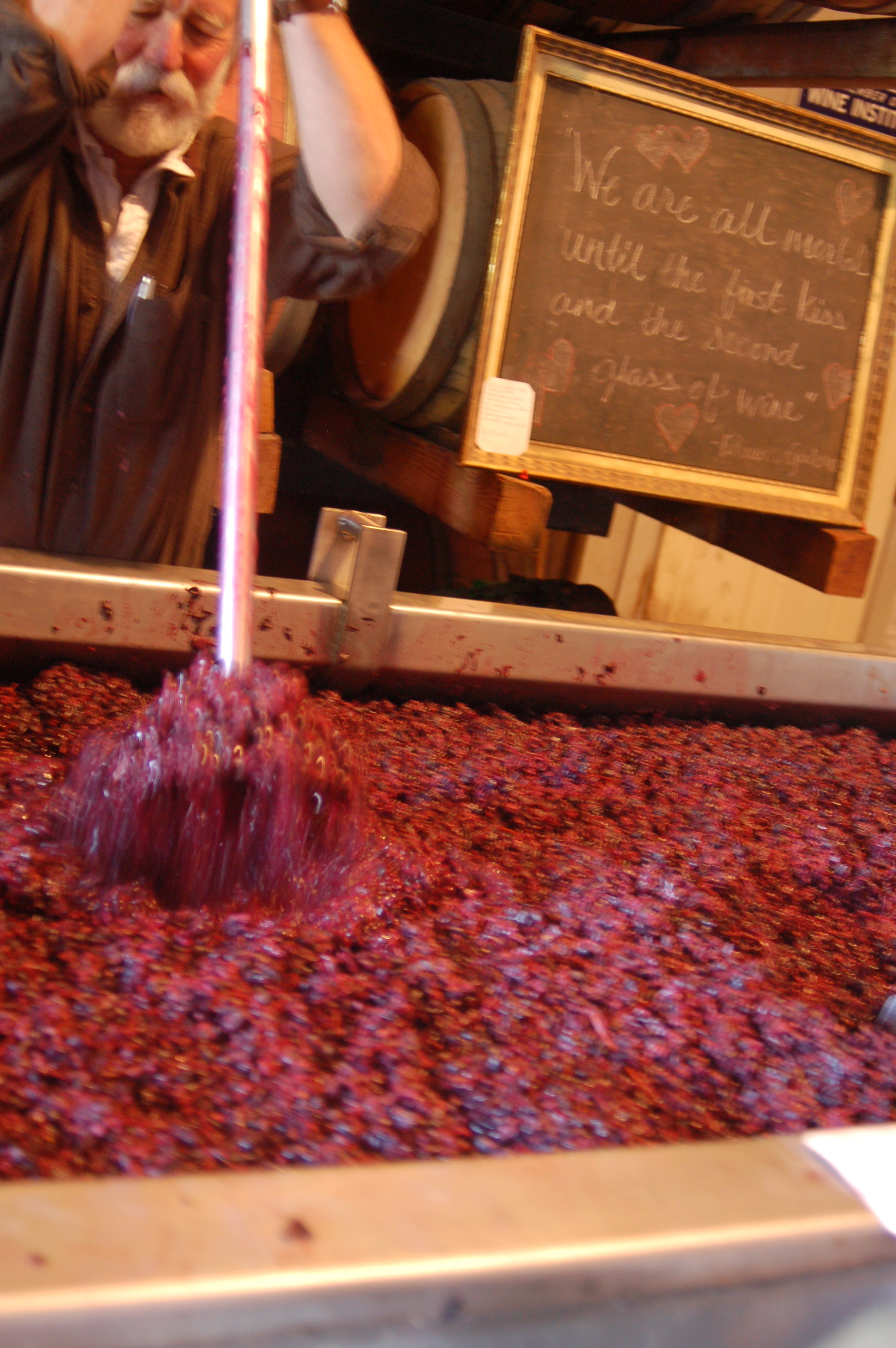 Culture de micro-organismes Figure 1 : Fermentation | StudySmarter