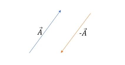 Addition de vecteurs le vecteur A et la négative du vecteur A StudySmarter