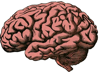 Processus de mémoire, illustration d'un cerveau, StudySmarter