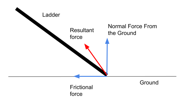 Scalar and Vector Lines of forces example StudySmarter