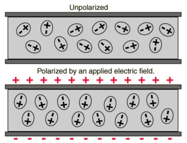 La capacité. Polarisation. StudySmarter