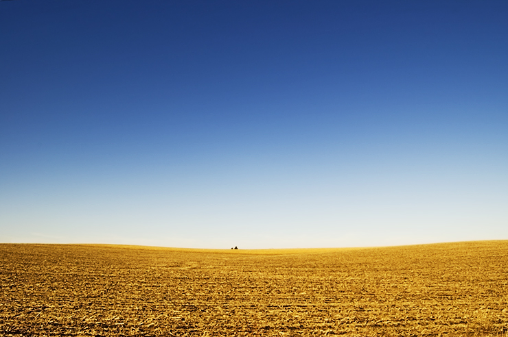 Homesteaders, Great Plains Nebraska, StudySmarter