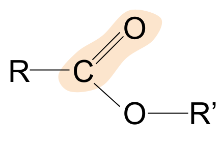Grupo carbonilo éster StudySmarter