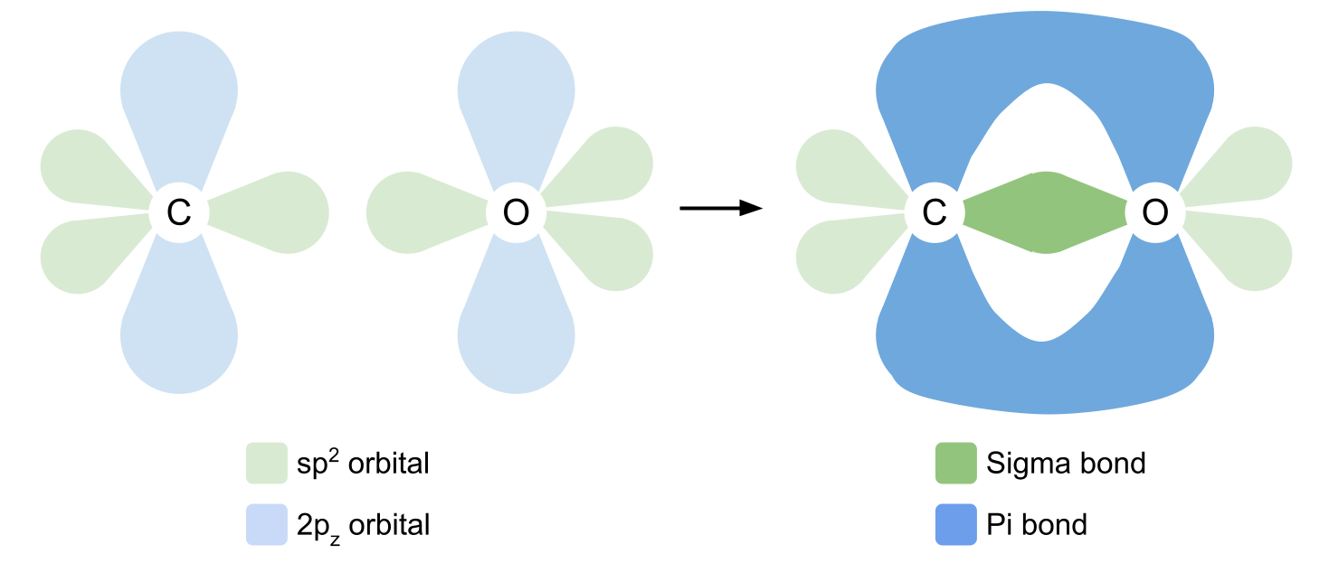 Grupo carbonilo enlace sigma pi StudySmarter