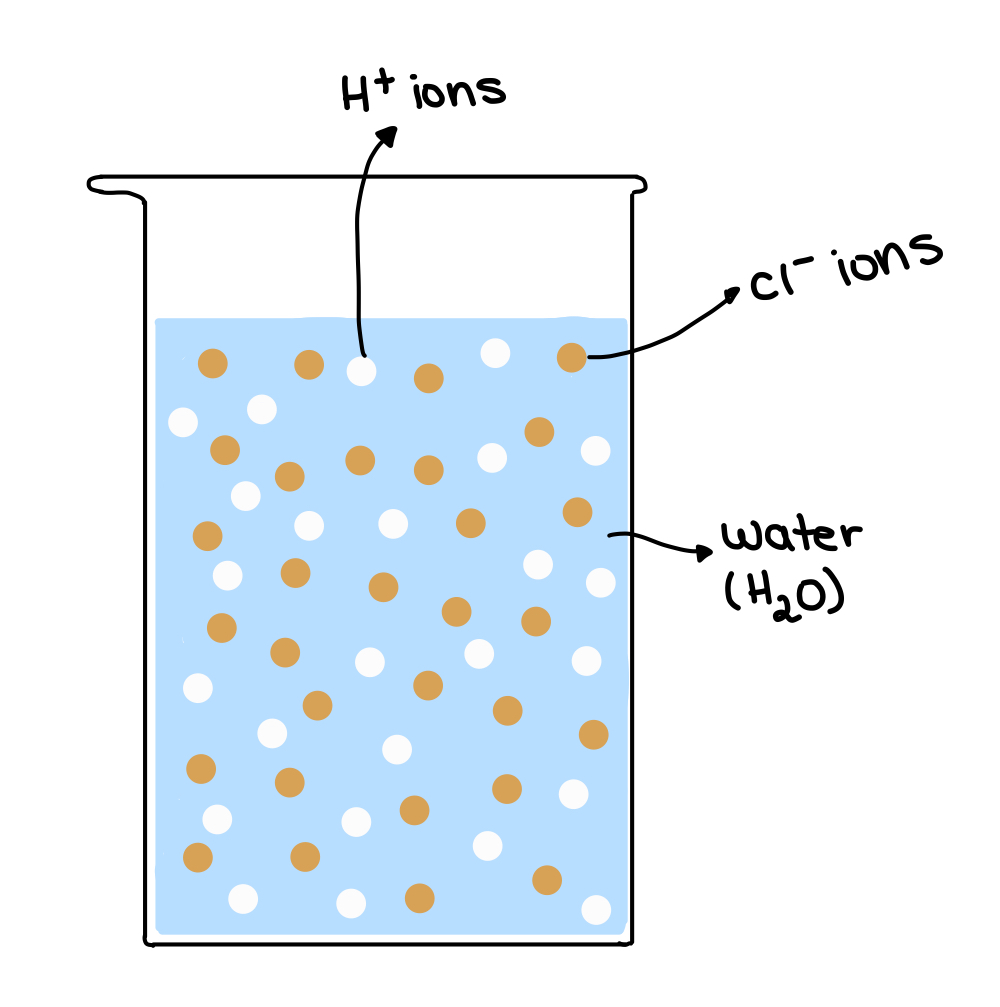 Échelle de pH HCl dans l'eau StudySmarter