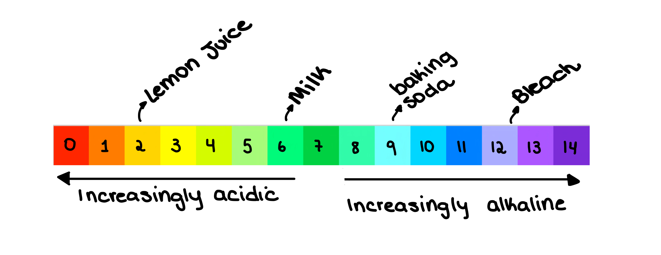 Échelle de pH Le pH des substances courantes est indiqué sur l'échelle de pH StudySmarter