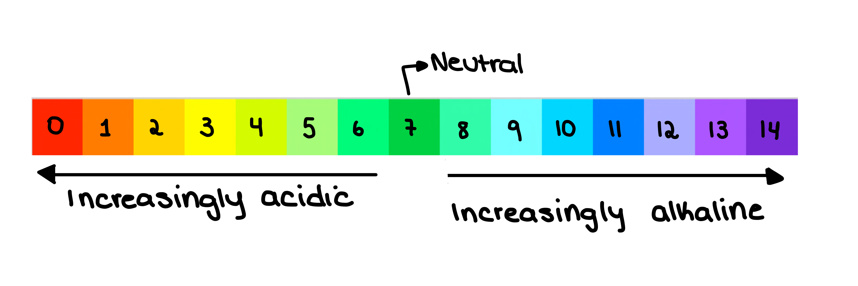 pH y Solubilidad la escala de pH Relación entre pH y Solubilidad StudySmarter