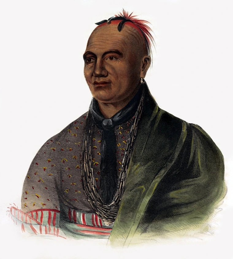 Native Americans in the American Revolution, Native american heroes in the revolutionary war, heroes, Study Smarter