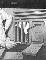 Psychologie im 19. Jahrhundert Experimentalbox von Edward Thorndike StudySmarter