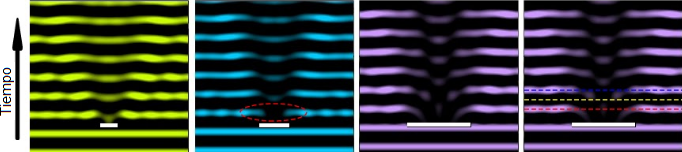 Absorción, reflexión y difracción Difracción con un obstáculo StudySmarter