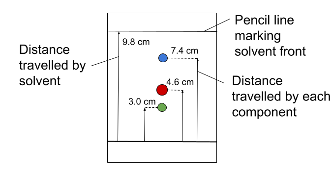 Cromatografia valori Rf StudySmarter