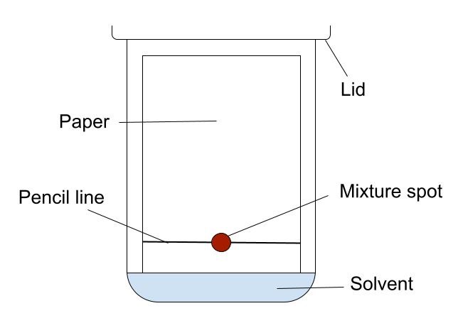 Cromatografia su carta StudySmarter