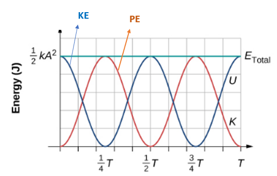 Simple Harmonic Motion Energy, Energy-time graph of simple harmonic motion, StudySmarter
