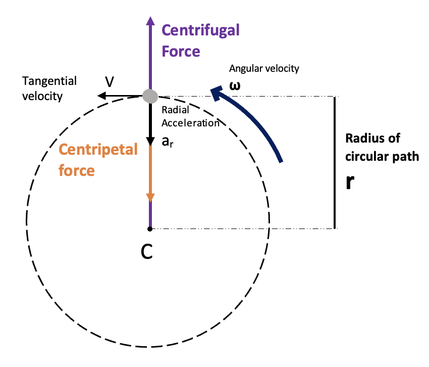 Force centrifuge L'équation de la force centrifuge StudySmarter