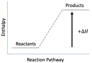 Procesos endotérmicos y exotérmicos Diagrama de entalpía endotérmica StudySmarter